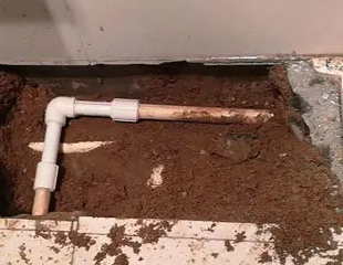 华坪测漏水哪家好