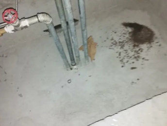 华坪卫生间测漏水价格明细