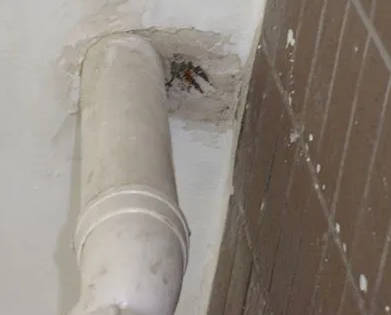 华坪漏水检测哪家好